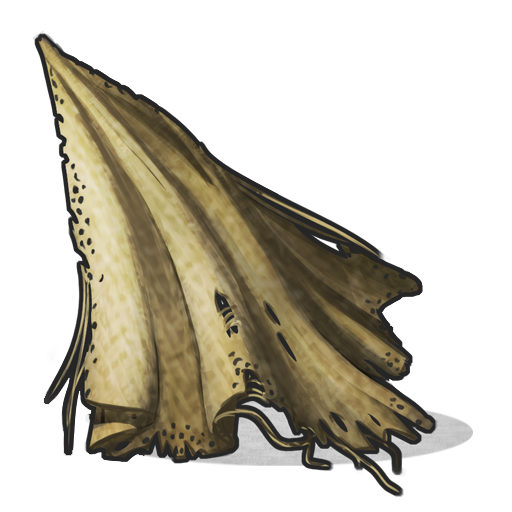 cloth